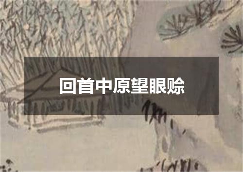 回首中原望眼赊