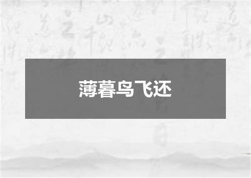 薄暮鸟飞还