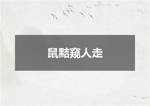 鼠黠窥人走