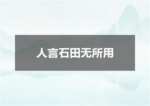 人言石田无所用