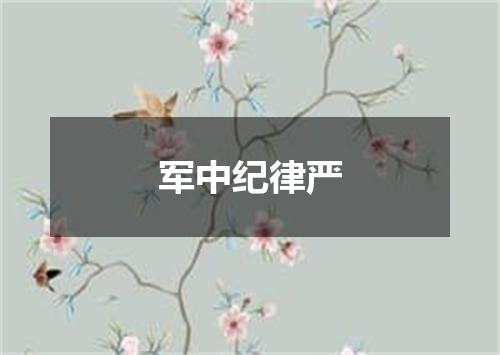 军中纪律严