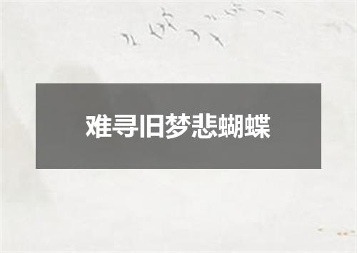 难寻旧梦悲蝴蝶