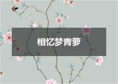 相忆梦青萝