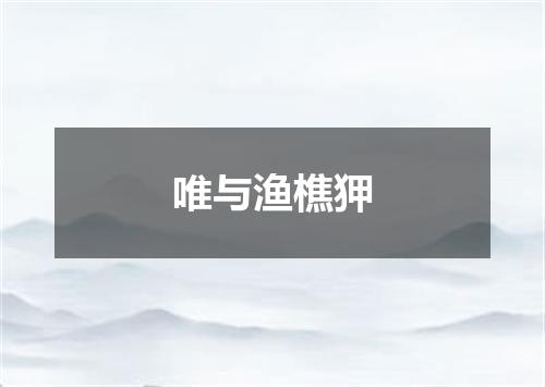 唯与渔樵狎