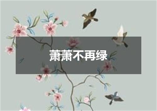 萧萧不再绿