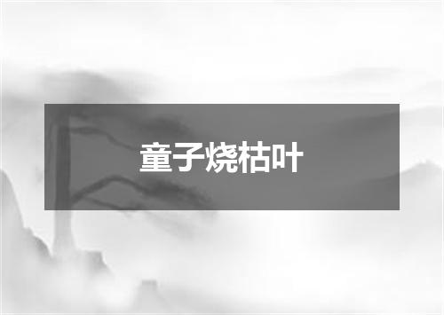 童子烧枯叶