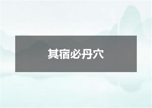 其宿必丹穴