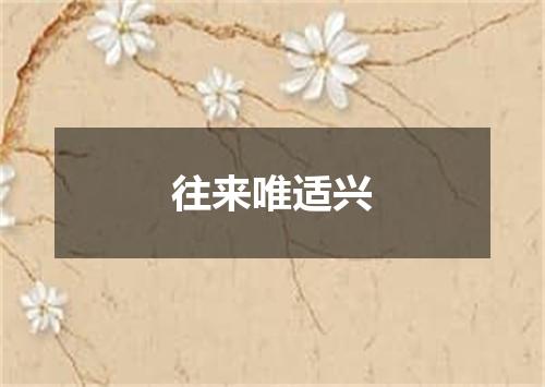 往来唯适兴