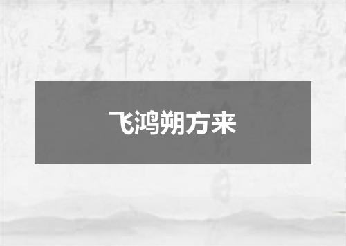 飞鸿朔方来