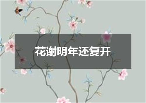 花谢明年还复开