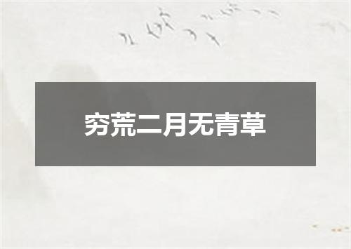 穷荒二月无青草