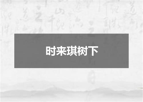 时来琪树下