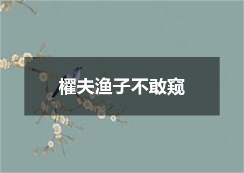 櫂夫渔子不敢窥