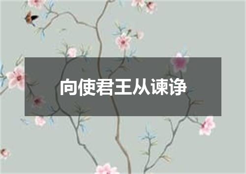 向使君王从谏诤