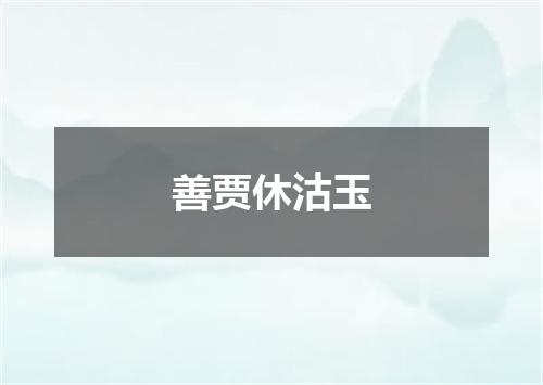 善贾休沽玉