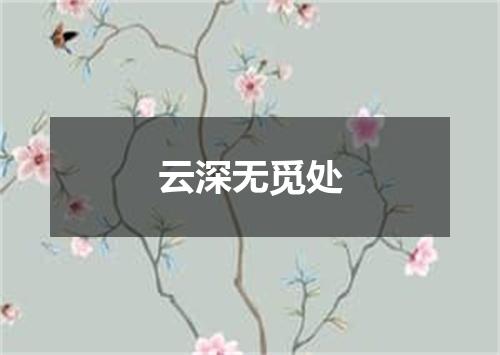 云深无觅处
