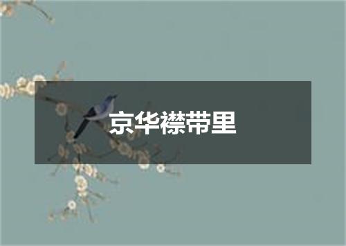 京华襟带里
