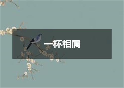 一杯相属