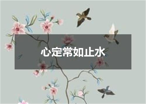 心定常如止水