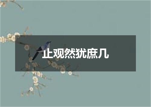 止观然犹庶几