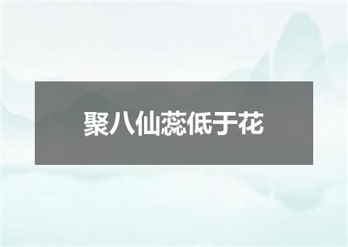 聚八仙蕊低于花