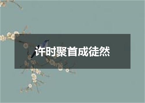 许时聚首成徒然