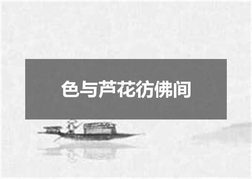 色与芦花彷佛间