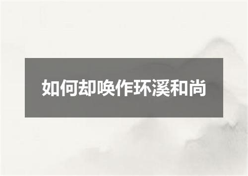 如何却唤作环溪和尚