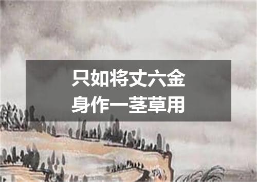 只如将丈六金身作一茎草用