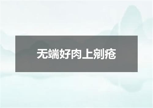 无端好肉上剜疮