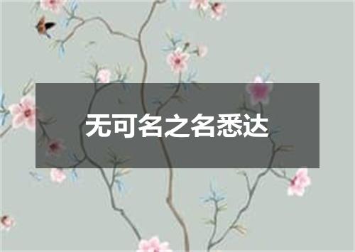 无可名之名悉达