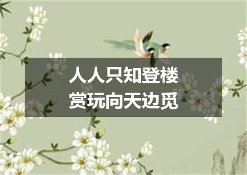 人人只知登楼赏玩向天边觅