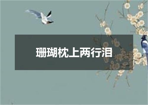 珊瑚枕上两行泪