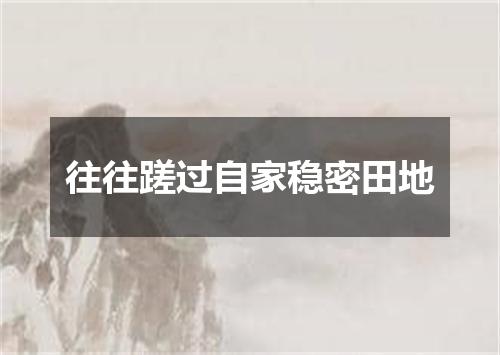 往往蹉过自家稳密田地