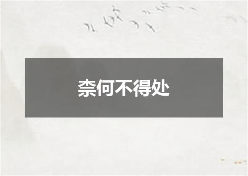 柰何不得处