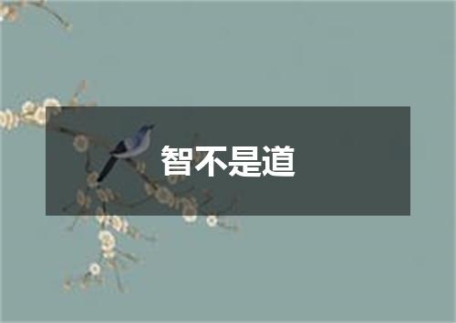 智不是道
