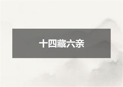 十四藏六亲