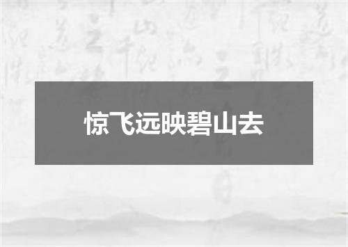 惊飞远映碧山去