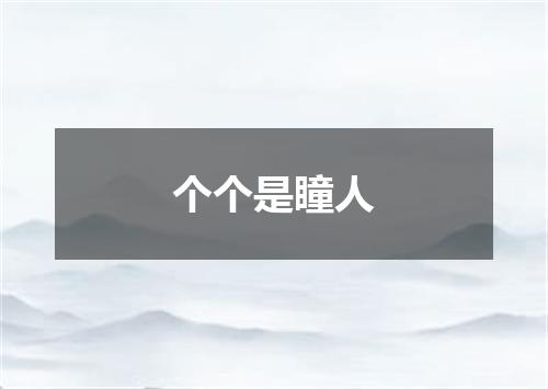 个个是瞳人