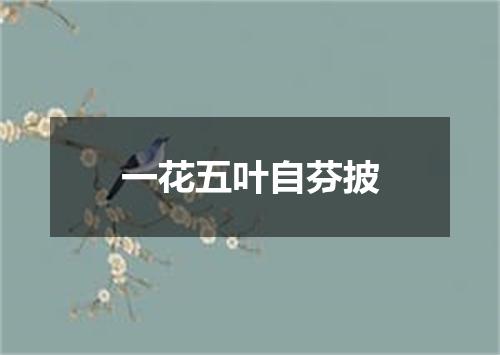 一花五叶自芬披