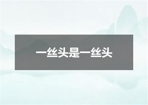一丝头是一丝头