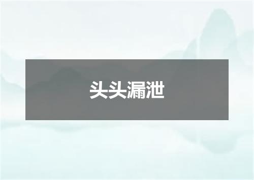 头头漏泄