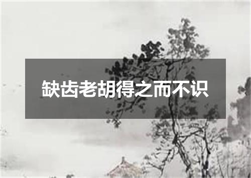 缺齿老胡得之而不识