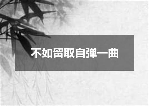 不如留取自弹一曲