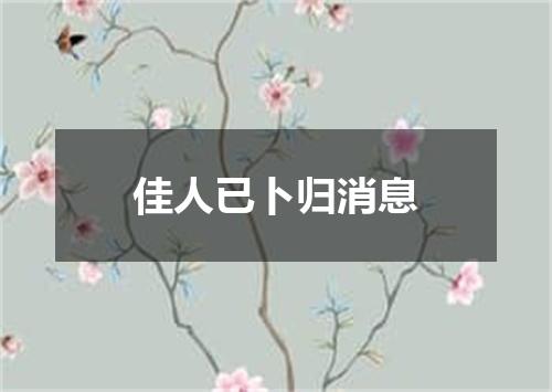 佳人已卜归消息