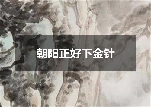 朝阳正好下金针