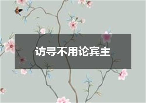 访寻不用论宾主