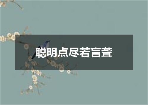 聪明点尽若盲聋
