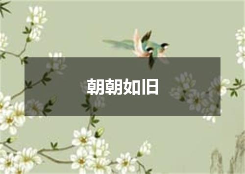 朝朝如旧