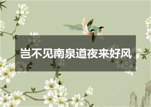 岂不见南泉道夜来好风